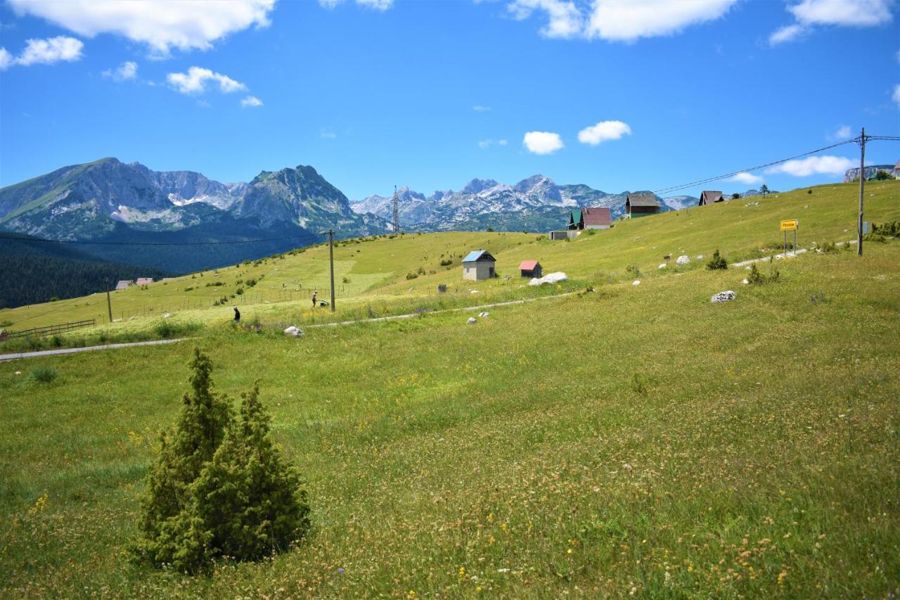 Вилла Durmitor View Жабляк Экстерьер фото
